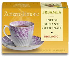 Erbamea infusi di piante officinali zenzero e limone
